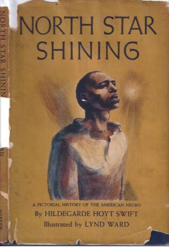 Book cover of the North Star Shining